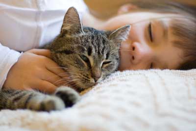 Your Cat's UTI and Diet